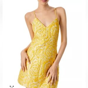 ALICE + OLIVIA Tayla Structured Jacquard Dress